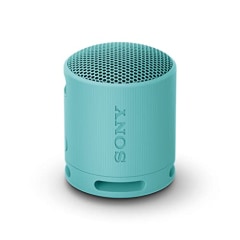 Sony SRS-XB100 Wireless Bluetooth Portable