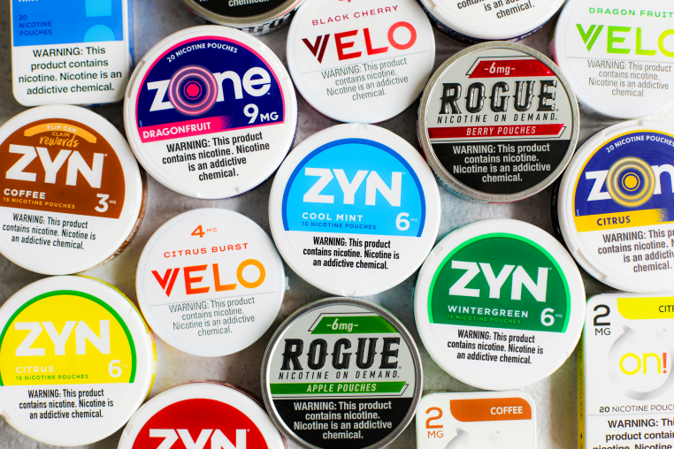 Zyn and nicotine mouth pouch products